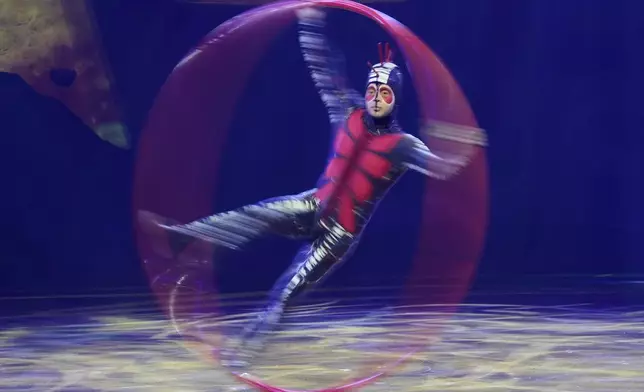 Acrobats from Cirque du Soleil rehearse for the show entitled 'Ovo' at The Royal Albert Hall, in London, Thursday, Jan. 8, 2026. (AP Photo/Kin Cheung)