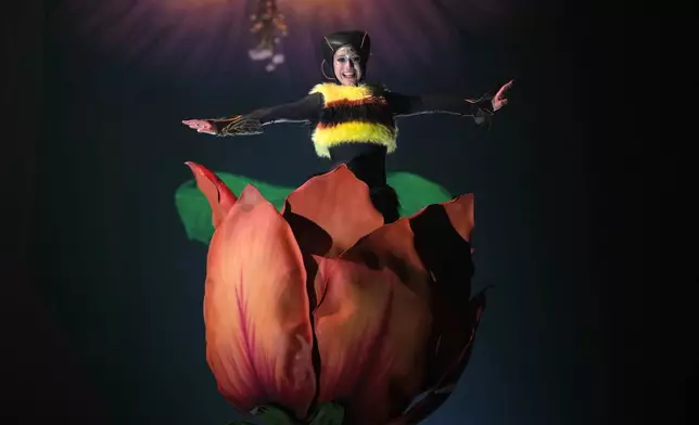 Acrobats from Cirque du Soleil rehearse for the show entitled 'Ovo' at The Royal Albert Hall, in London, Thursday, Jan. 8, 2026. (AP Photo/Kin Cheung)