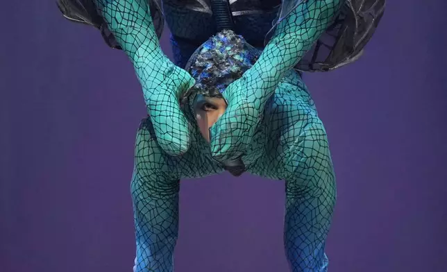 Acrobats from Cirque du Soleil rehearse for the show entitled 'Ovo' at The Royal Albert Hall, in London, Thursday, Jan. 8, 2026. (AP Photo/Kin Cheung)