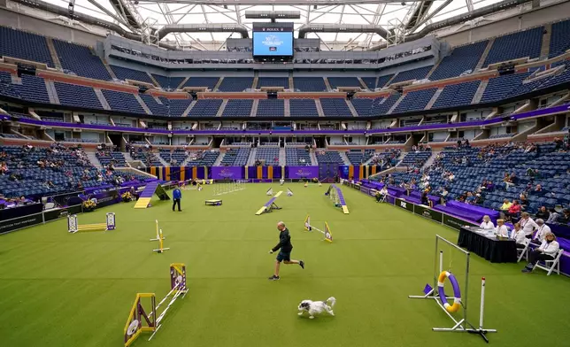 FILE - A handler and his dog compete in the agility preliminaries inside Arthur Ashe stadium during the 147th Westminster Kennel Club Dog show, Saturday, May 6, 2023, at the USTA Billie Jean King National Tennis Center in New York. (AP Photo/Mary Altaffer, File)