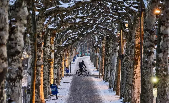 A man rides a bike in an alley in Frankfurt, Germany, Wednesday, Jan. 7, 2026. (AP Photo/Michael Probst)