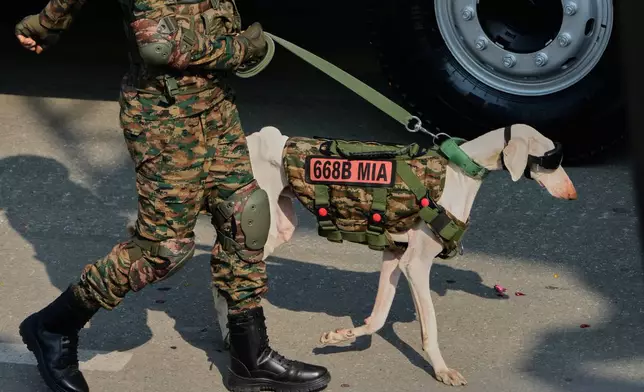 An Indian army soldier along with sniffer dog marches during the Republic Day parade celebrations in New Delhi, India, Monday, Jan. 26, 2026. (AP Photo/Manish Swarup)