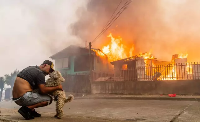 A member of the Gonzalez family pets his dog after the family's home caught fire during wildfires in Lirquen, Chile, Sunday, Jan. 18, 2026. (AP Photo/Javier Torres)