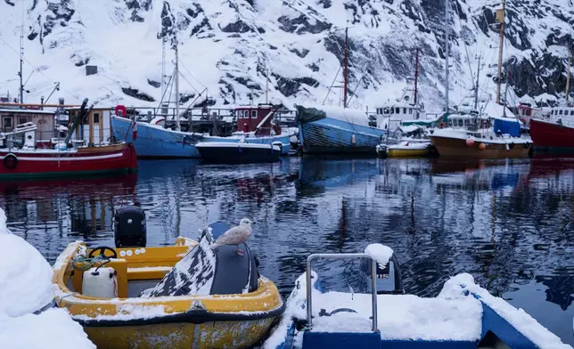 A bird stands on a boat at the harbour of Nuuk, Greenland, on Tuesday, Jan. 13, 2026. (AP Photo/Evgeniy Maloletka)