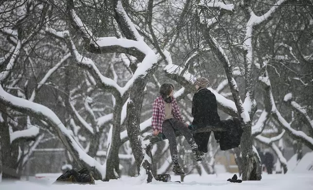 People sit on a tree branch in the snow-covered Kolomenskoye park in Moscow, Russia, Wednesday, Jan. 7, 2026. (AP Photo/Pavel Bednyakov)