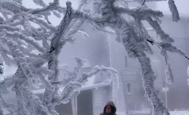 FILE - A resident is framed by an ice-covered tree on top of the Feldberg mountain near Frankfurt, Germany, Jan. 8, 2026. (AP Photo/Michael Probst, File)