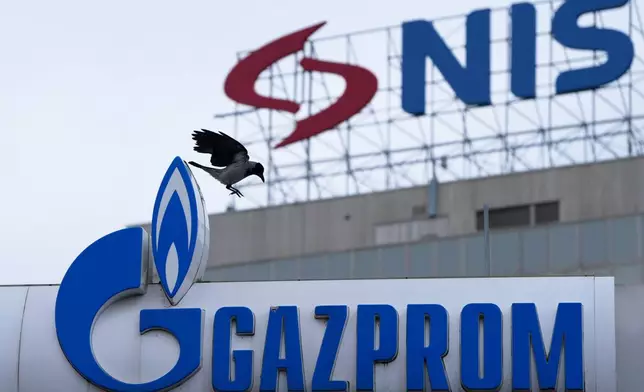A raven flies between the NIS "Naftna industrija Srbije" (Petroleum Industry of Serbia) on an office building and the Gazprom company logo at a petrol station in Belgrade, Serbia, Sunday, Nov. 23, 2025. (AP Photo/Darko Vojinovic)