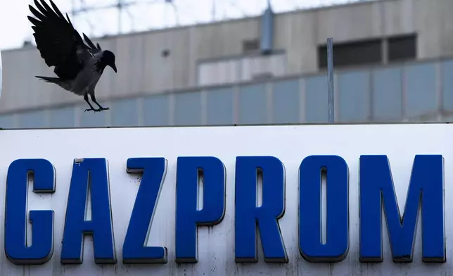 A raven flies over the Gazprom company logo at a petrol station in Belgrade, Serbia, Sunday, Nov. 23, 2025. (AP Photo/Darko Vojinovic)