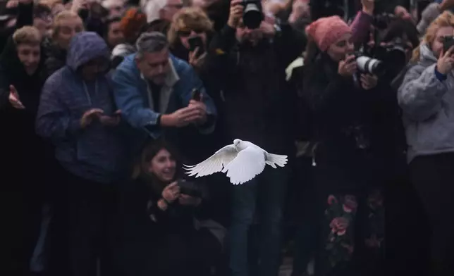 A white dove is released during the Christian Orthodox Epiphany ceremony at the Golden Horn, in Istanbul, Turkey, Tuesday, Jan. 6, 2026. (AP Photo/Francisco Seco)