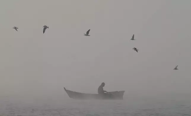 FILE - Gulls fly over a fisherman returning in his boat after working on the Pong Dam reservoir in Nagrota Suriyan, India, Dec. 27, 2025. (AP Photo/Ashwini Bhatia, File)