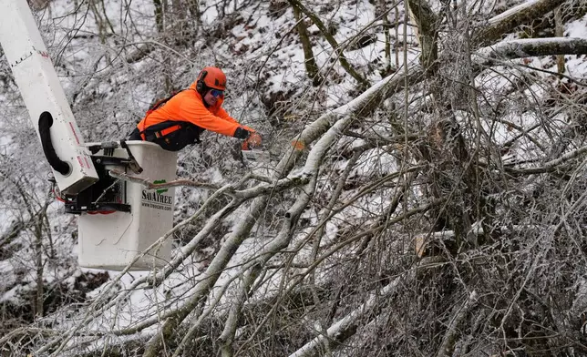 Austin Bradbury uses a chainsaw to remove a tree above a road Friday, Jan. 30, 2026, in Nashville, Tenn. (AP Photo/George Walker IV)