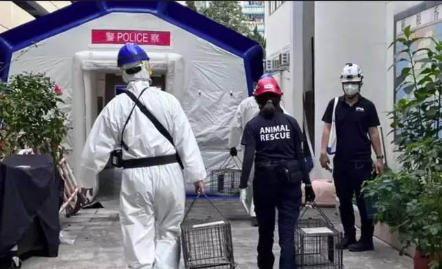 SPCA said that the police have approved the placement of cat cages in the remaining five buildings of Wang Fuk Court next week. Photo source: FB of SPCA