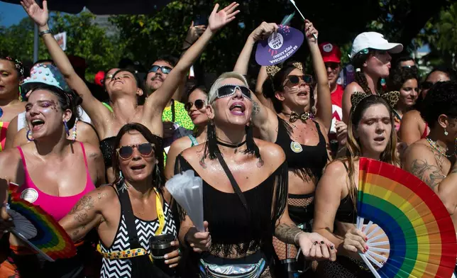 Revelers attend the Amigos da Onca Carnival street party, in Rio de Janeiro, Saturday, Feb. 14, 2026. (AP Photo/Bruna Prado)