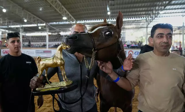 The champion horse Arabilla, born in 2025, poses with the championship trophy during the 18th Palestine Championship for Purebred Arabian Horses, in the West Bank city of Jericho, Thursday, Feb. 12, 2026. (AP Photo/Nasser Nasser)