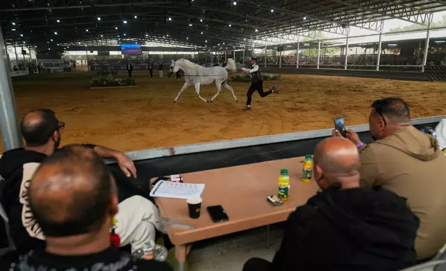 A horse handler performs a routine with his horse Alia, born in 2020 and a silver champion in her class, while competing during the third and final day of the 18th Palestine Championship for Purebred Arabian Horses, in the West Bank city of Jericho, Saturday, Feb. 14, 2026. (AP Photo/Nasser Nasser)