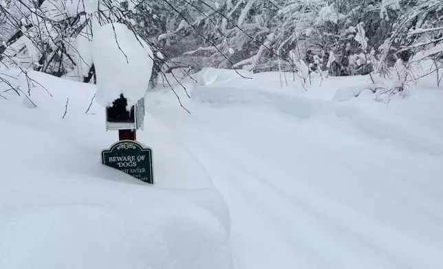 Snow falls on Tuesday, Feb. 17, 2026 in Truckee Calif. (AP Photos/Brooke Hess-Homeier)