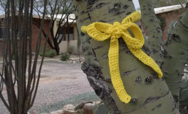 People hang yellow ribbons in their neighborhood around Nancy Guthrie’s home in Tucson, Ariz., on Friday, Feb. 13, 2026. (AP Photo/Ty ONeil)
