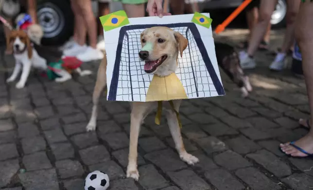 A dog wears a cardboard soccer net costume during the "Blocao" Carnival dog parade in Rio de Janeiro, Saturday, Feb. 14, 2026. (AP Photo/Silvia Izquierdo)