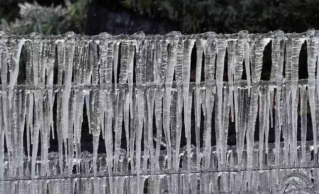 Icicles cling to a barbed wire fence surrounding an ornamental plant nursery Sunday, Feb. 1, 2026, in Plant City, Fla. (AP Photo/Chris O'Meara)