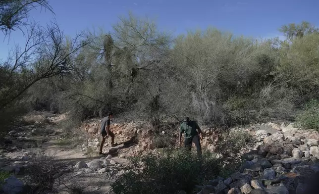 Law enforcement agents check vegetation areas around Nancy Guthrie’s home in Tucson, Ariz., Wednesday, Feb. 11, 2026. (AP Photo/Ty ONeil)