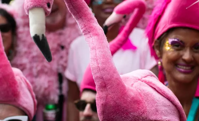FILE - Revelers dressed as flamingos pose for photos during the "Cordao do Boitata" street pre-carnival party in Rio de Janeiro, Feb. 8, 2026. (AP Photo/Bruna Prado, File)
