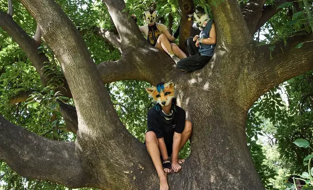 Youths climb a tree during a gathering of therians, people who say they identify as non-human animals, at a square in Buenos Aires, Argentina, Sunday, Feb. 22, 2026. (AP Photo/Rodrigo Abd)