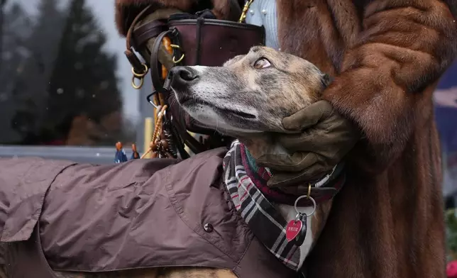 Cecilia Secondin poses with her dog Porter in Cortina d'Ampezzo, Italy, Saturday, Feb. 14, 2026. (AP Photo/Alessandra Tarantino)