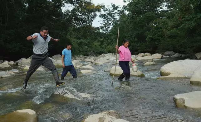 Ramon Pucha, his son Jhoel, and his wife Marlene cross the Alto Ila River during an expedition to search for native seeds to grow on their farm, where they preserve species and share seedlings with neighboring communities in an effort to protect biodiversity, in Alto Ila, in Ecuador's Amazon region, Tuesday, Feb. 3, 2026. (AP Photo/Dolores Ochoa)