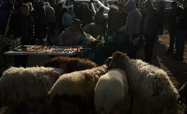 A Palestinian sits next to his stand as he sells knives at a livestock market near Balata refugee camp on the outskirts of the West Bank city of Nablus, Thursday, Feb. 12, 2026. (AP Photo/Leo Correa)