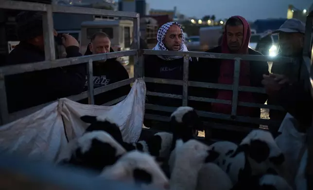 Palestinians gather around a vehicle to purchase sheep and goats at a livestock market near Balata refugee camp on the outskirts of the West Bank city of Nablus, Thursday, Feb. 12, 2026. (AP Photo/Leo Correa)