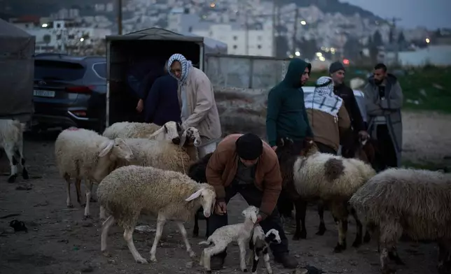 Palestinians gather to purchase sheep and goats at a livestock market near Balata refugee camp on the outskirts of the West Bank city of Nablus, Thursday, Feb. 12, 2026. (AP Photo/Leo Correa)