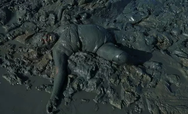 A reveler frolics in layers of mud during the Mud Block carnival party in Paraty, Brazil, Saturday, Feb. 14, 2026. (AP Photo/Andre Penner)