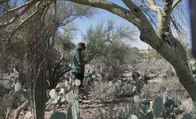 Law enforcement agents check vegetation areas around Nancy Guthrie’s home in Tucson, Ariz., Wednesday, Feb. 11, 2026. (AP Photo/Ty ONeil)
