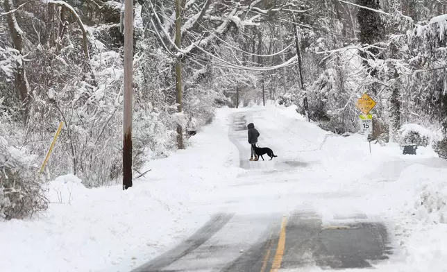 A man walks a dog down a road, Monday, Feb. 23, 2026, in St. James, N.Y. (AP Photo/Heather Khalifa)