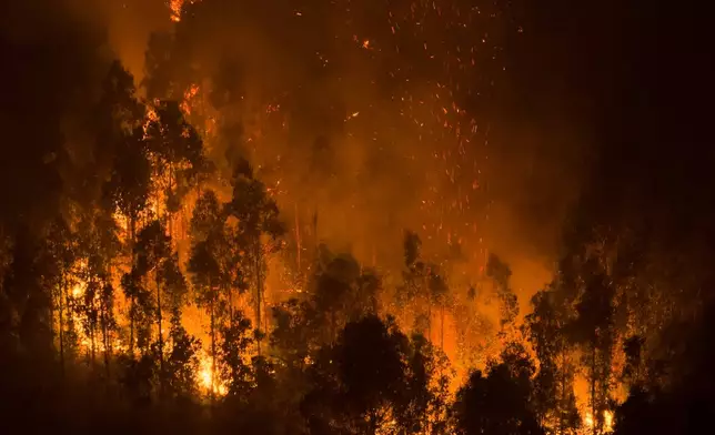 FILE - A wildfire burns near Concepcion, Chile, Jan. 19, 2026. (AP Photo/Javier Torres, File)