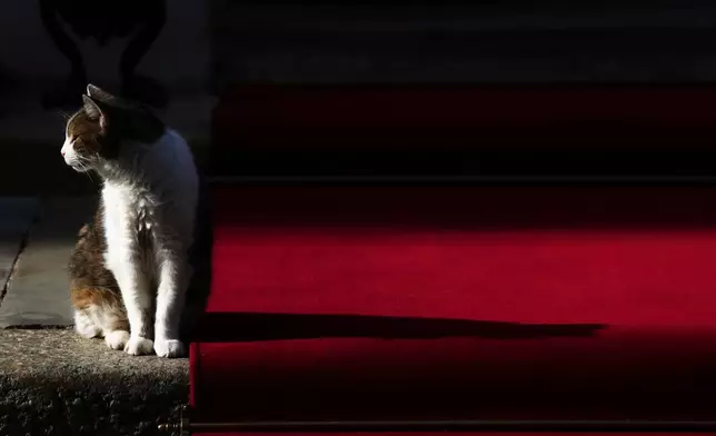 FILE - Larry the cat, Chief Mouser to the Cabinet Office, sits by the red carpet laid down outside 10 Downing Street in London, Wednesday, July 30, 2025. (AP Photo/Joanna Chan, File)