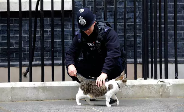 FILE - A police officer strokes Larry the 10 Downing Street cat before Members of Parliament started arriving for the first cabinet meeting of the recently re-elected Conservative Party at 10 Downing Street in London, Tuesday, May 12, 2015. (AP Photo/Matt Dunham, File)