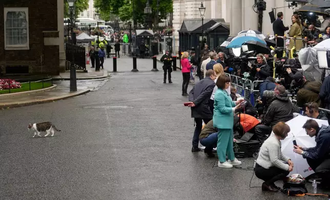 FILE - A police officer watches as Larry the Cat, Britain's mouse-catcher in chief and long time resident at the leader's official residence, walks away from the media gathered in Downing Street in London, Friday, July 5, 2024. (AP Photo/Vadim Ghirda, File)