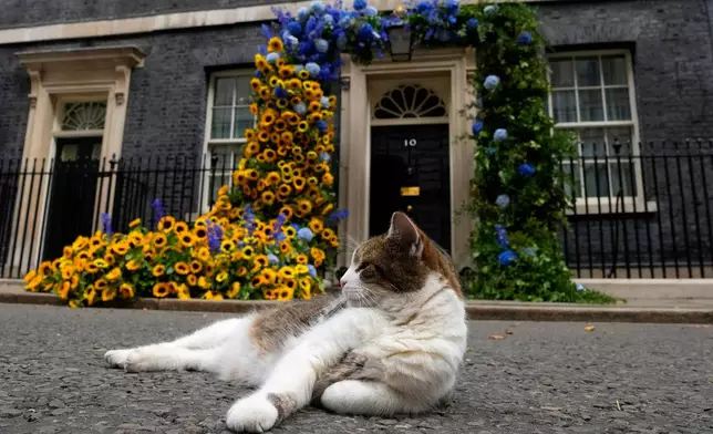 FILE - Larry the Cat, Britain's Chief Mouser to the Cabinet Office, sits in front of the flower decoration featuring sunflowers, outside 10 Downing street, in the national Ukrainian colours, on Ukraine Independence Day in London, Wednesday, Aug. 24, 2022. (AP Photo/Frank Augstein, File)