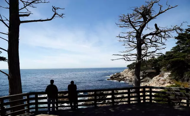 Two visitors enjoy a view of the Pacific Ocean from a cliff along 17 Mile Drive on Wednesday, March 19, 2014, in Pebble Beach , Calif. (AP Photo/Marcio Jose Sanchez)