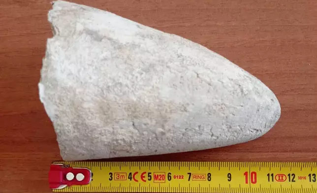 This image released by the Rome Municipality on Wednesday, Feb. 18, 2026, shows the 11-centimeter (4-inch) marble fragment that police found in Rome over the weekend near the iconic Elephant and Obelisk monument, designed by Baroque sculptor Gian Lorenzo Bernini, which was missing the tip of its left tusk. (Comune di Roma via AP, HO)