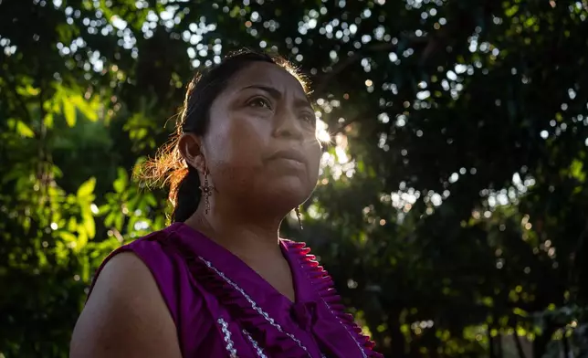 Teacher and activist Maribel Cervantes observes her garden in San Juan Volador, Mexico, Oct. 27, 2025. (AP Photo/Felix Marquez)