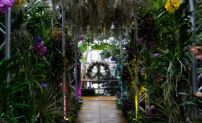 A peace sign is adorned with orchids as finishing touches are placed on the 12th annual Chicago Botanic Garden Orchid Show, Friday, Feb. 6, 2026, in Glencoe, Ill. (AP Photo/Erin Hooley)