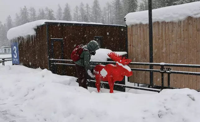 Isabelle Bois, who works security for Team Canada, brushes snow off a red moose statue outside of the team's lodging, at the Cortina Olympic Village, ahead of the 2026 Winter Olympics, in Cortina d'Ampezzo, Italy, Tuesday, Feb. 3, 2026. (AP Photo/Jennifer McDermott)