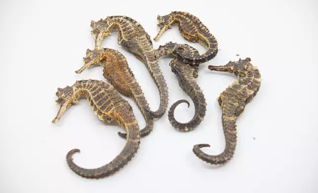 AFCD reminds public not to bring endangered species into Hong Kong or purchase them online illegally Source: HKSAR Government Press Releases