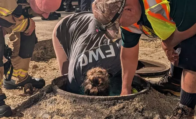 This photo provided by Brevard County Fire Rescue shows members of Brevard County Fire Rescue help rescue a manatee that was stuck in a storm drain on Monday, Feb. 9, 2026 in Melbourne Beach, Fla. (Brevard County Fire Rescue via AP)