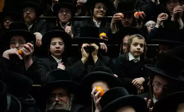 Ultra-Orthodox Jews from the Belz Hasidic dynasty hold fruit during celebrations marking the Jewish holiday of Tu Bishvat, the "New Year of the Trees," in Jerusalem, Monday, Feb. 2, 2026. (AP Photo/Ohad Zwigenberg)