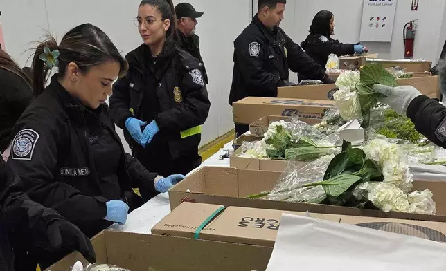 Valentine's Day flowers are unwrapped and inspected by U.S. Customs and Border Protection agriculture specialists at Miami International Airport, on Friday, Feb. 6, 2026, in Miami. (AP Photo/David Fischer)