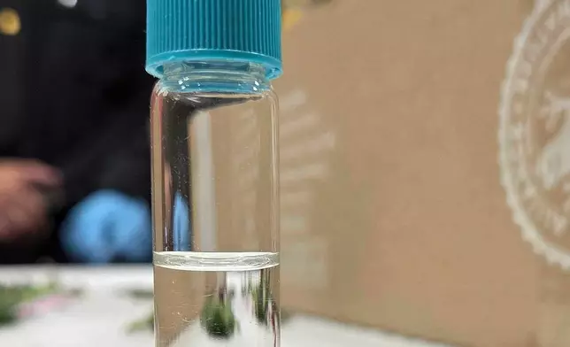 A test tube containing an insect larvae discovered by U.S. Customs and Border Protection agriculture specialists at Miami International Airport, on Friday, Feb. 6, 2026, in Miami. (AP Photo/David Fischer)
