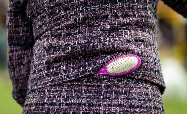 A handler keeps a dog brush in her skirt waistline while showing her dog at the 150th Westminster Kennel Club Dog Show, Monday, Feb. 2, 2026, in New York. (AP Photo/Angelina Katsanis)